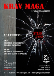 Stage hiver 2015